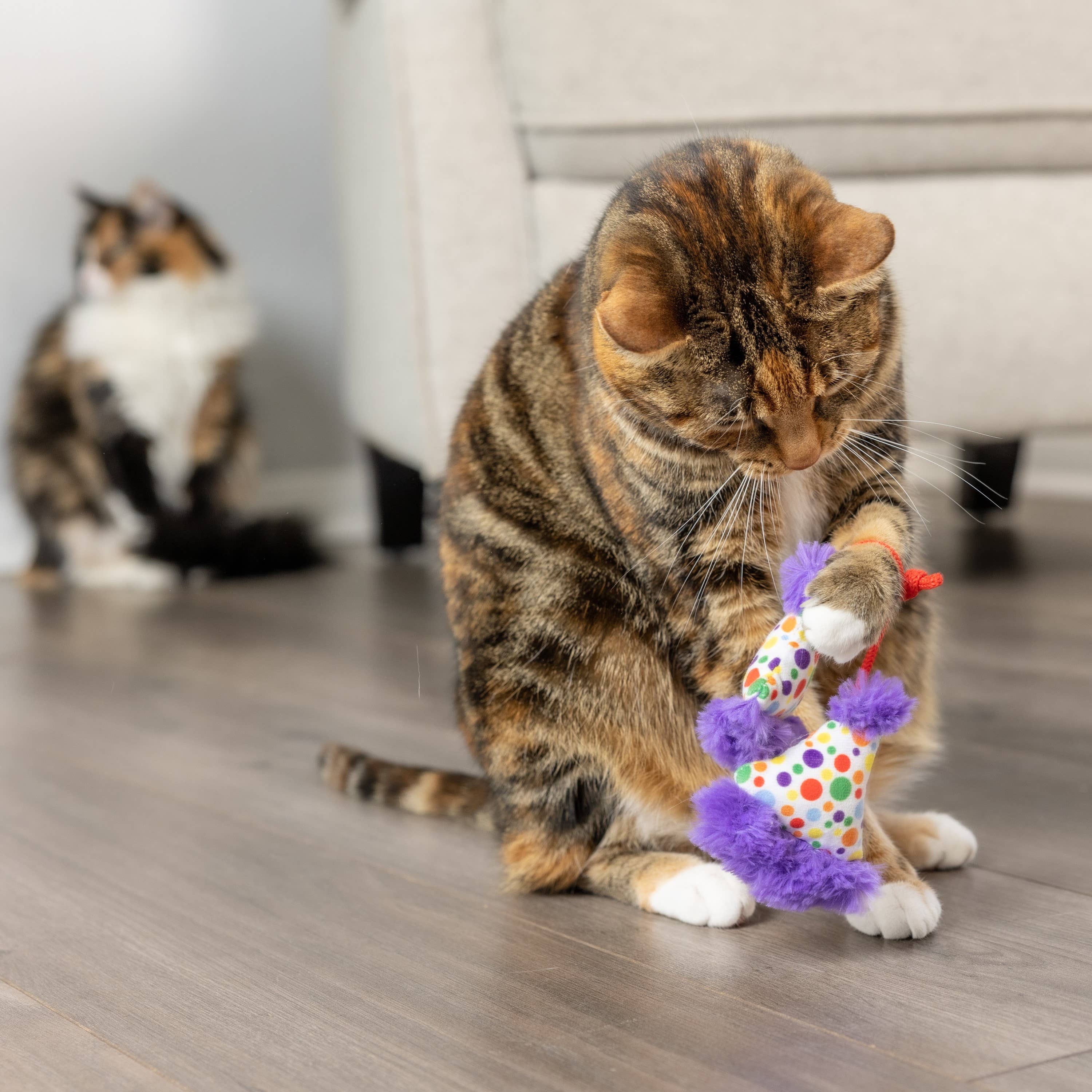 Huxley & Kent - Party Hats for Cats